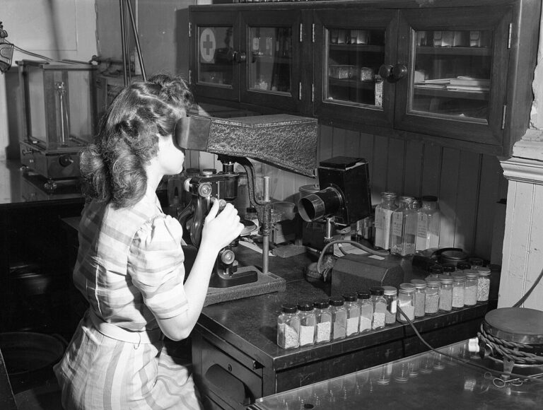 Women’s Health Research Gets a Long-Awaited Federal Spotlight A researcher examining samples through a microscope